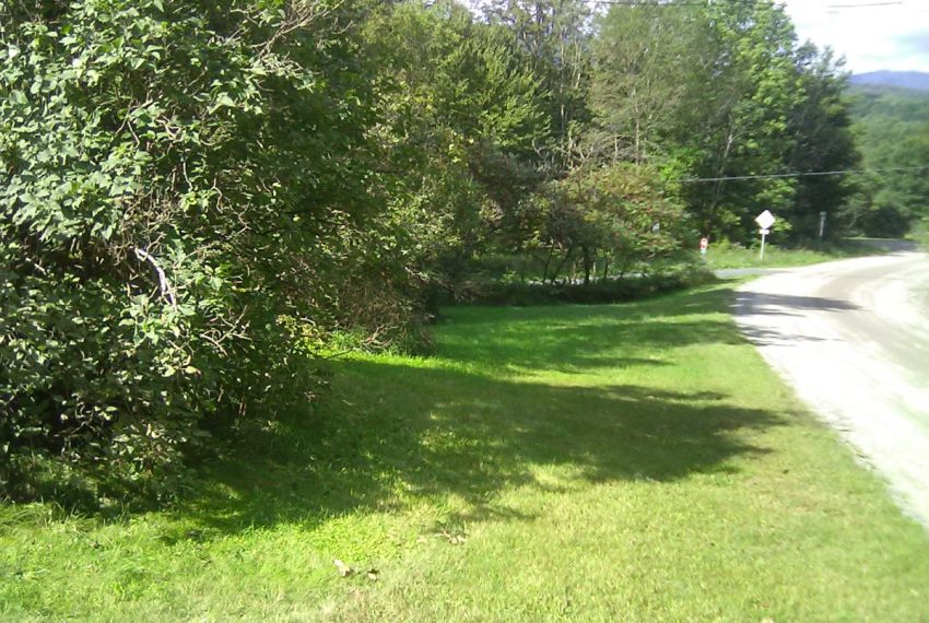yard to west of home