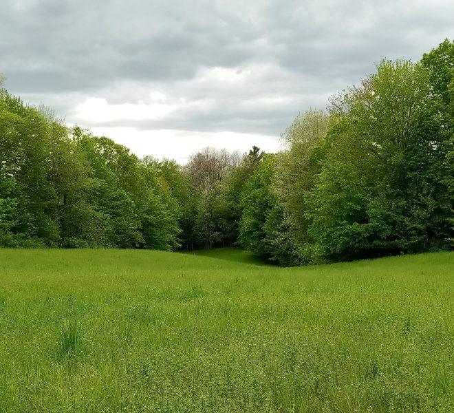 May from ridge looking west