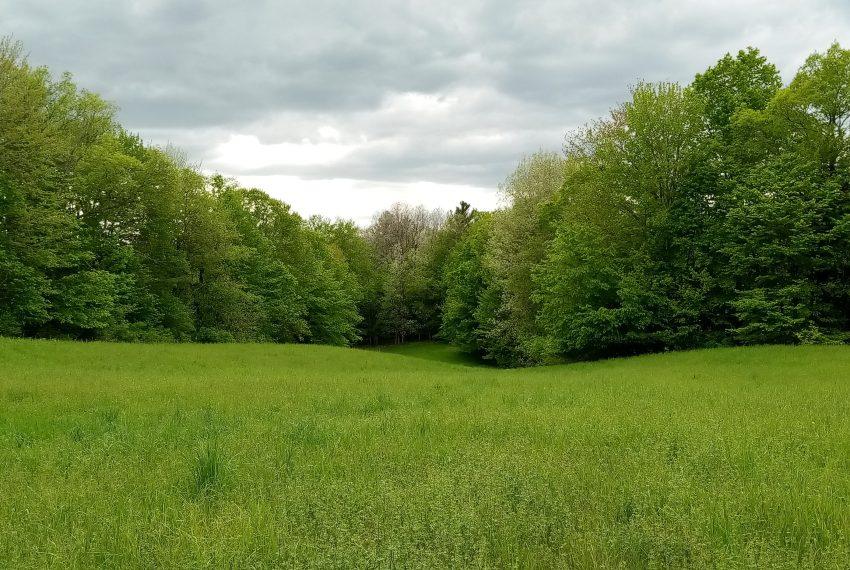 May from ridge looking west