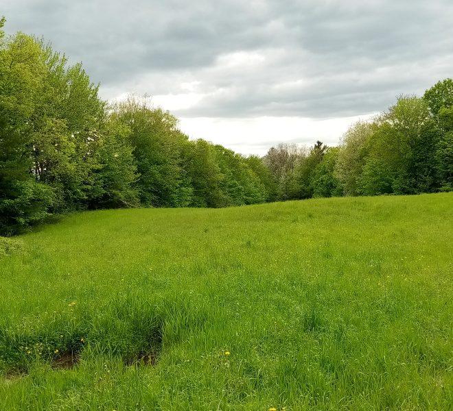 May from the road looking west