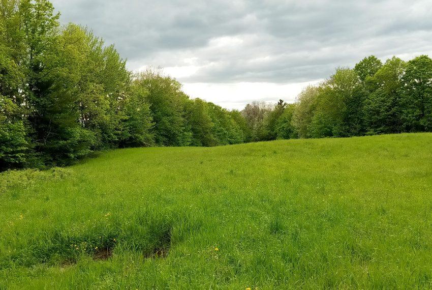 May from the road looking west