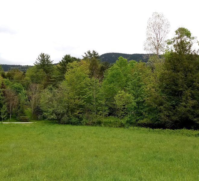 May towards Elmore Mt