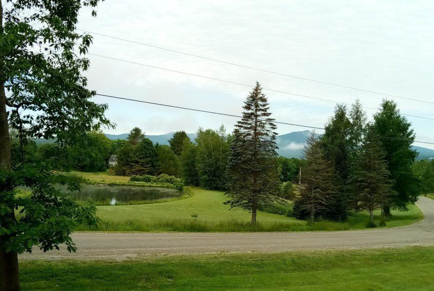 June 27 view down Beacon Hill Road