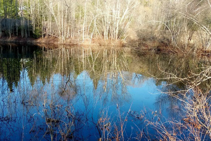 early April pond