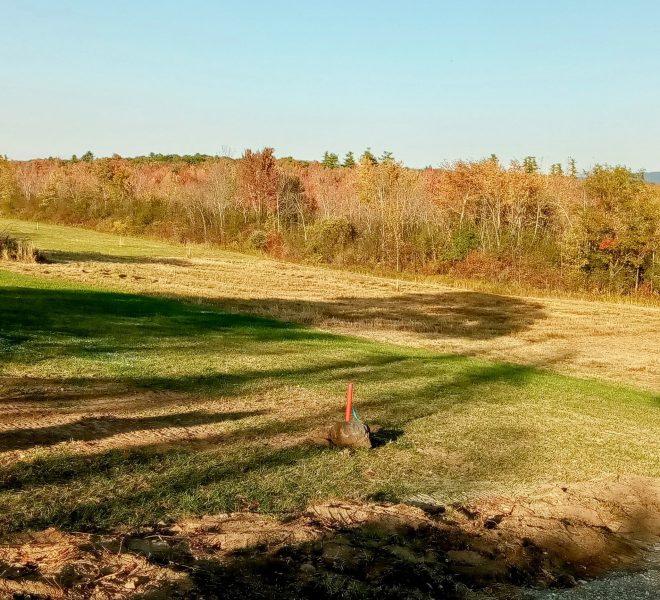 Lot 3 looking left