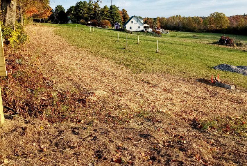 Lot 3 looking north