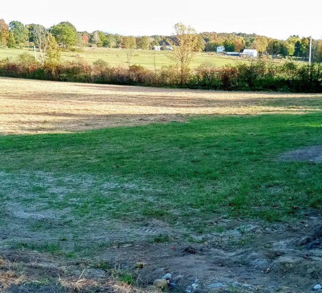 Lot 4 looking south