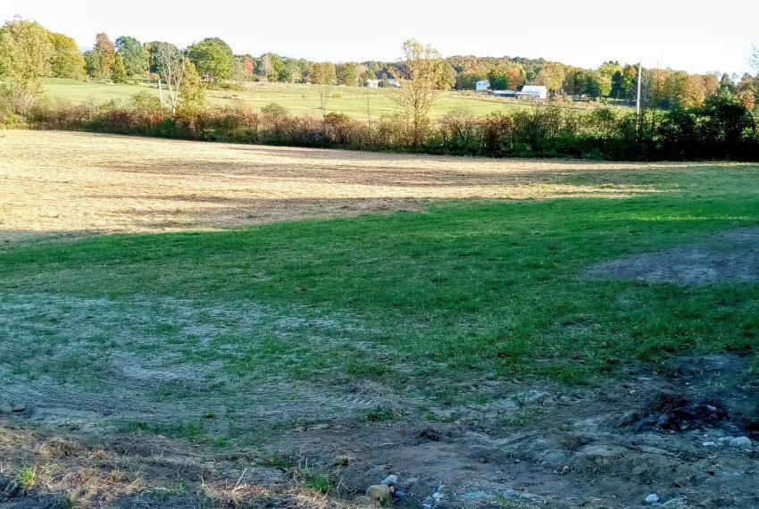 Lot 4 looking south