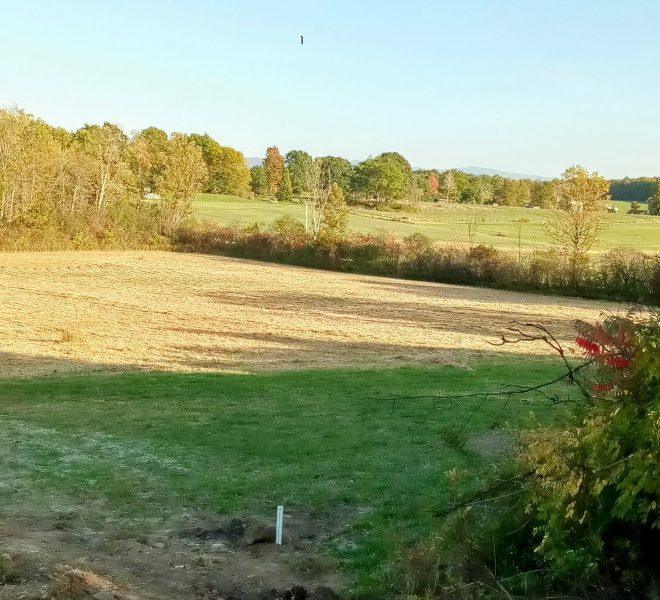 Lot 4 looking southeast