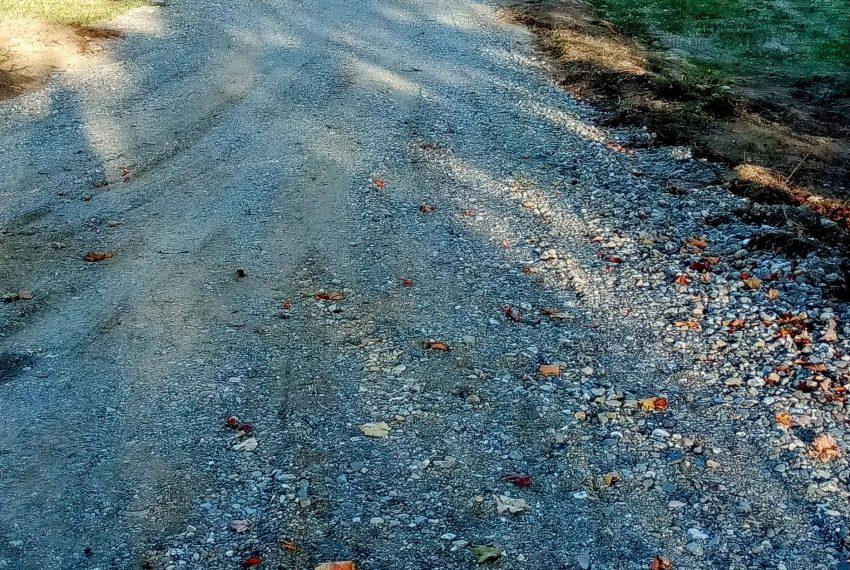 shared driveway for lots 3 - 4