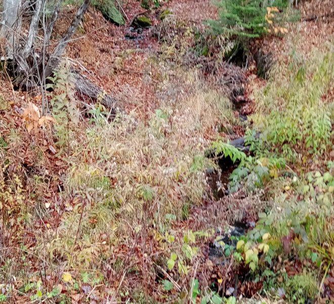 small brook coming to road on Lot B