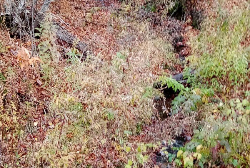 small brook coming to road on Lot B