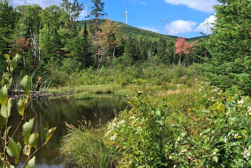 Lower beaver pond with wind towers on neighboring land