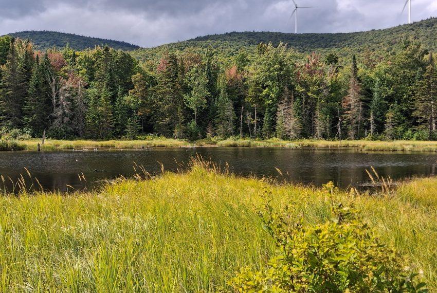 Upper beaver pond
