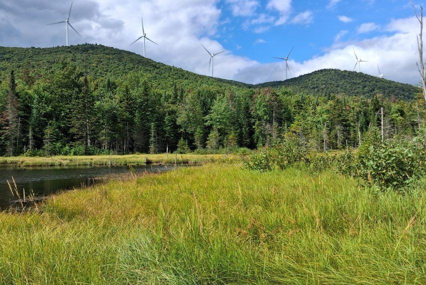 Upper beaver pond with wind towers on neighboring land