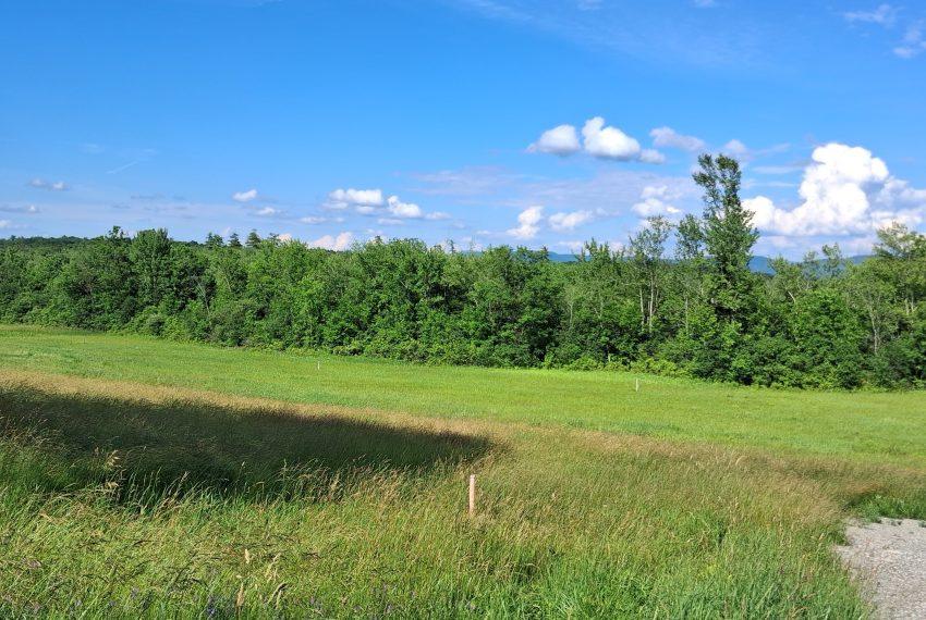 Lot 3 in June
