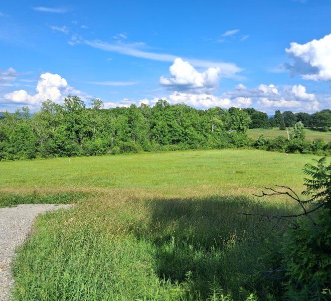 Lot 4 in June
