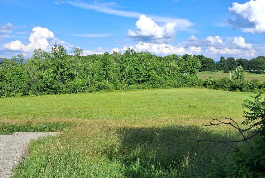 Lot 4 in June