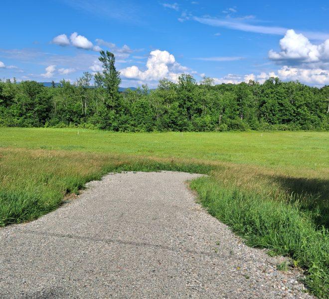Shared driveway to both lots