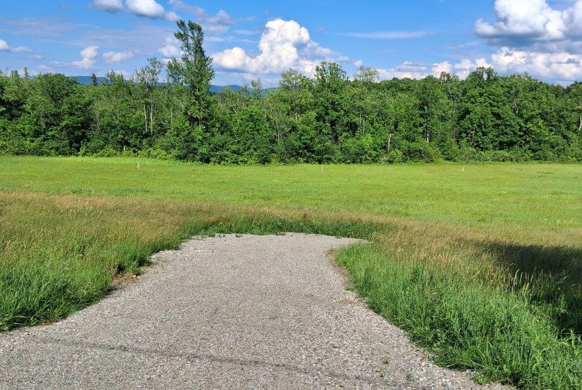 Shared driveway to both lots