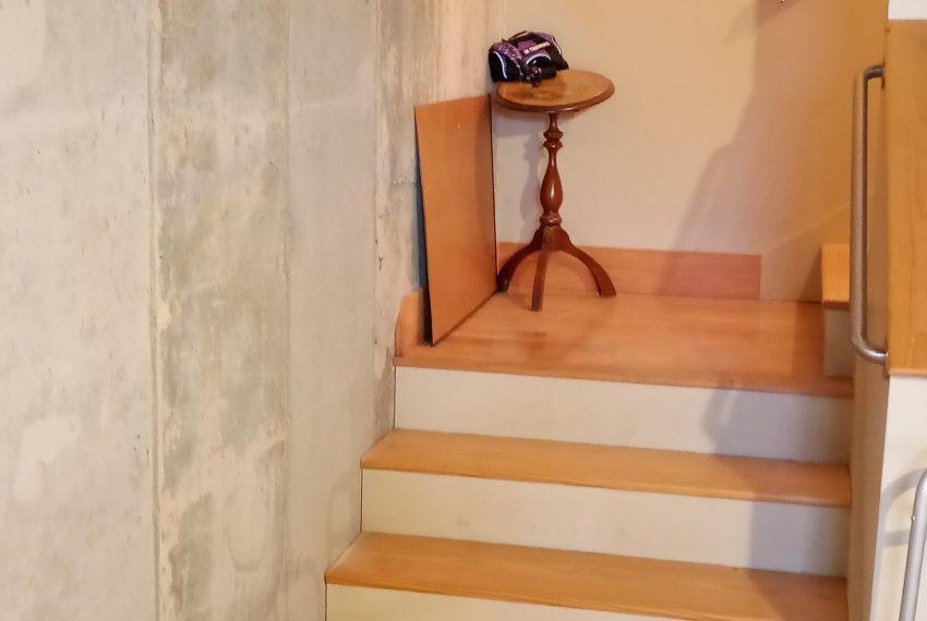 lower stairway into cellar