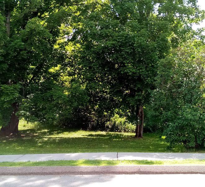 Congress Street-smaller lot 2