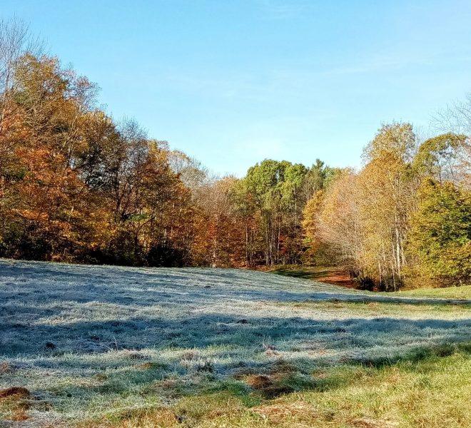 October-towards lower lot