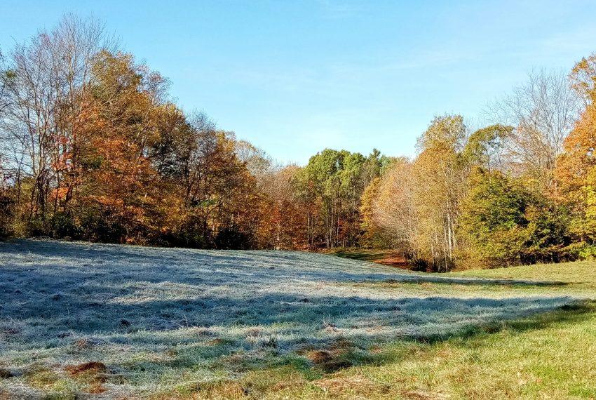 October-towards lower lot