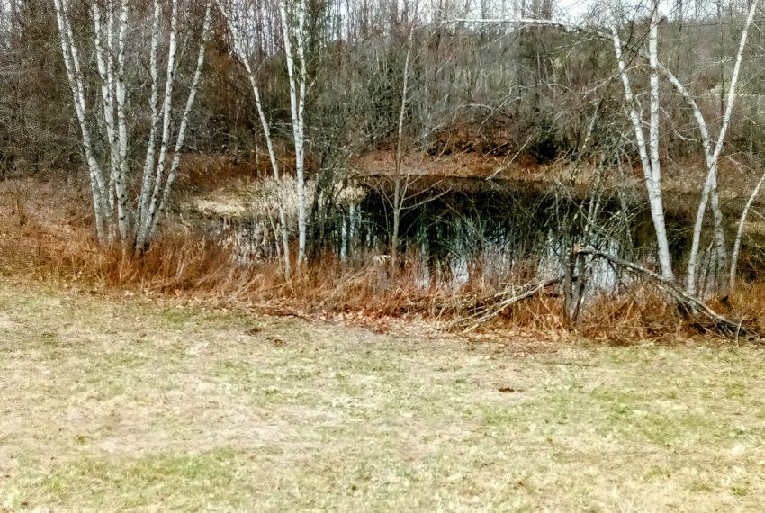 Pond in April on Lot 1