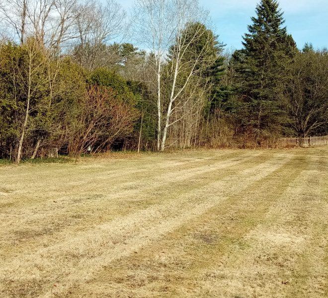 from Congress Street 1