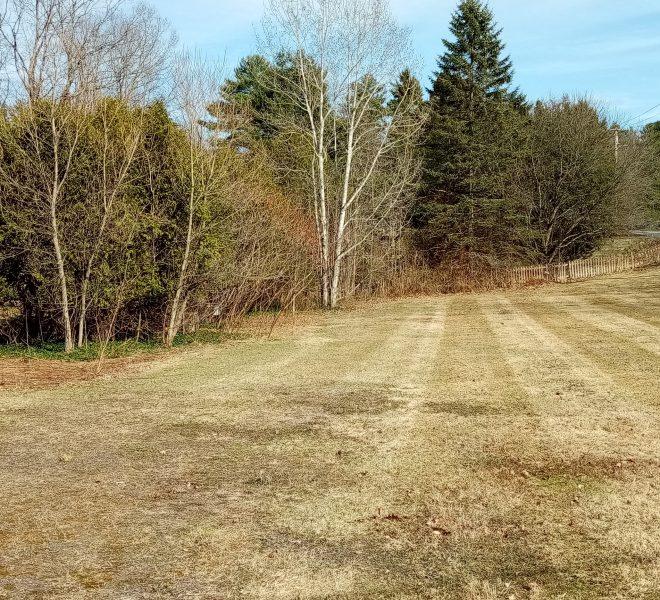 from Congress Street 2