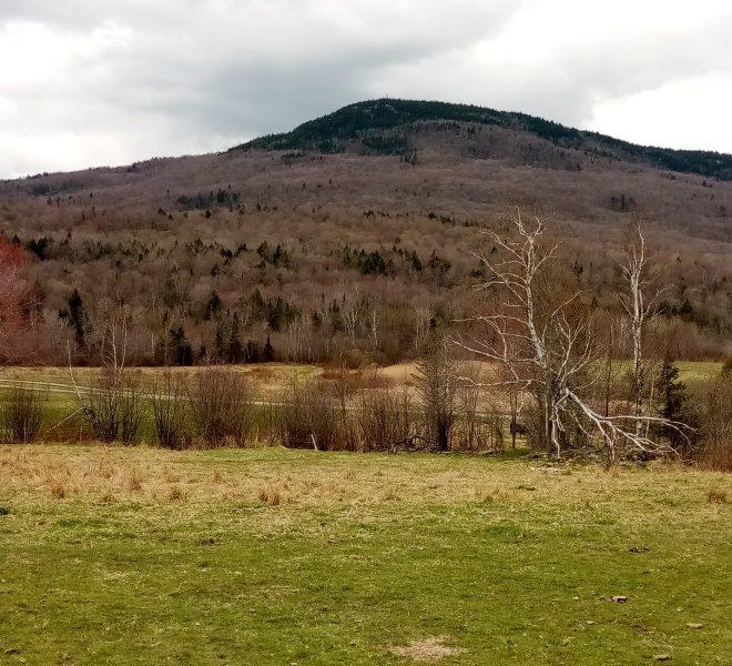 Elmore Mountain