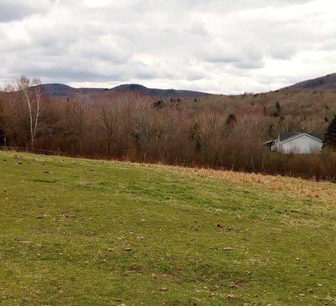 Worcester Range