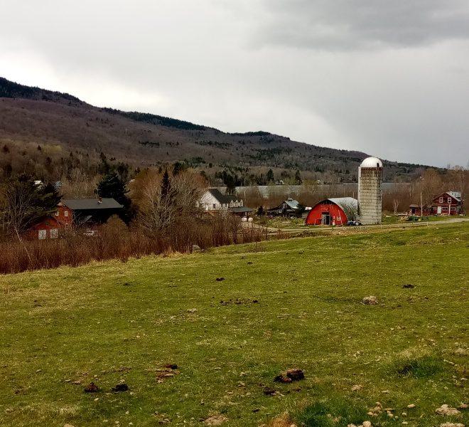 towards Lake Elmore