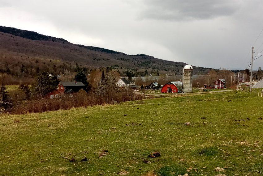 towards Lake Elmore