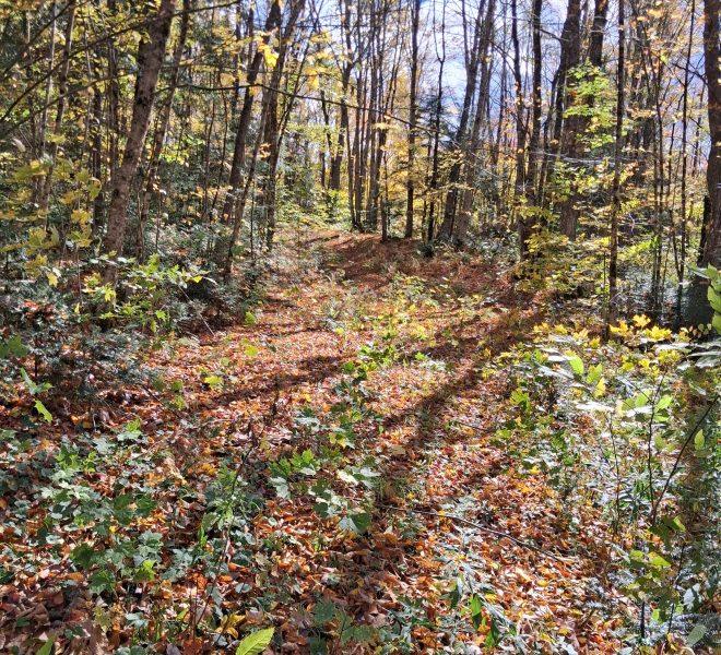 October ROW