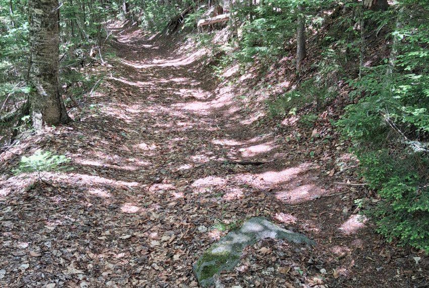 access trail thru Lot 15