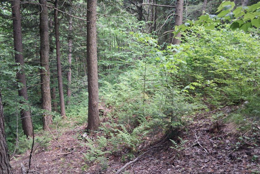 on 37 acres