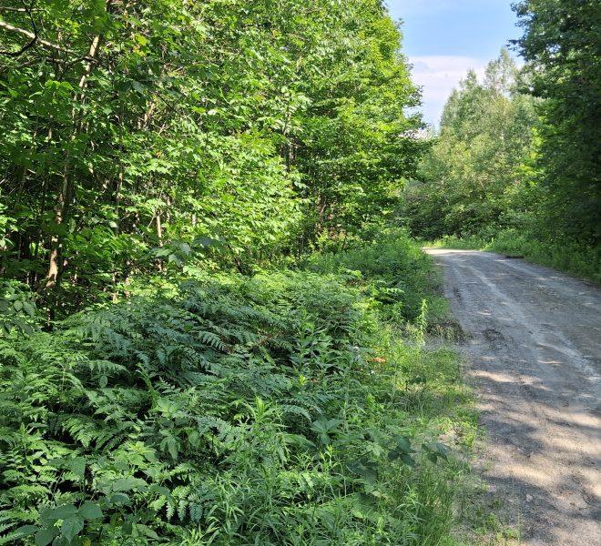 Ballground Road