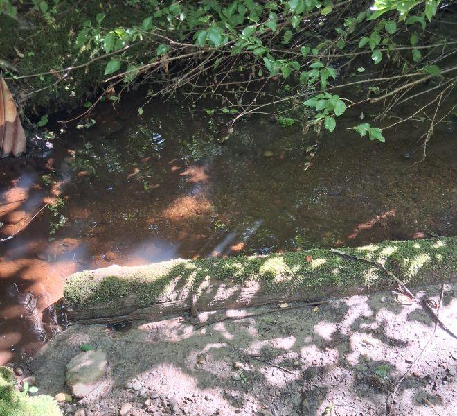 Brook crossing onto Lot 5
