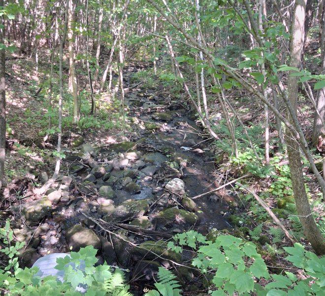 brook comimg off of Lot 4